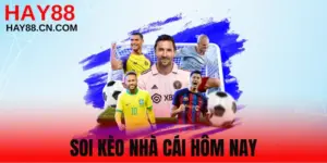 Soi Kèo Nhà Cái Hôm Nay Chuẩn Xác, Kiếm Lời Mỗi Ngày